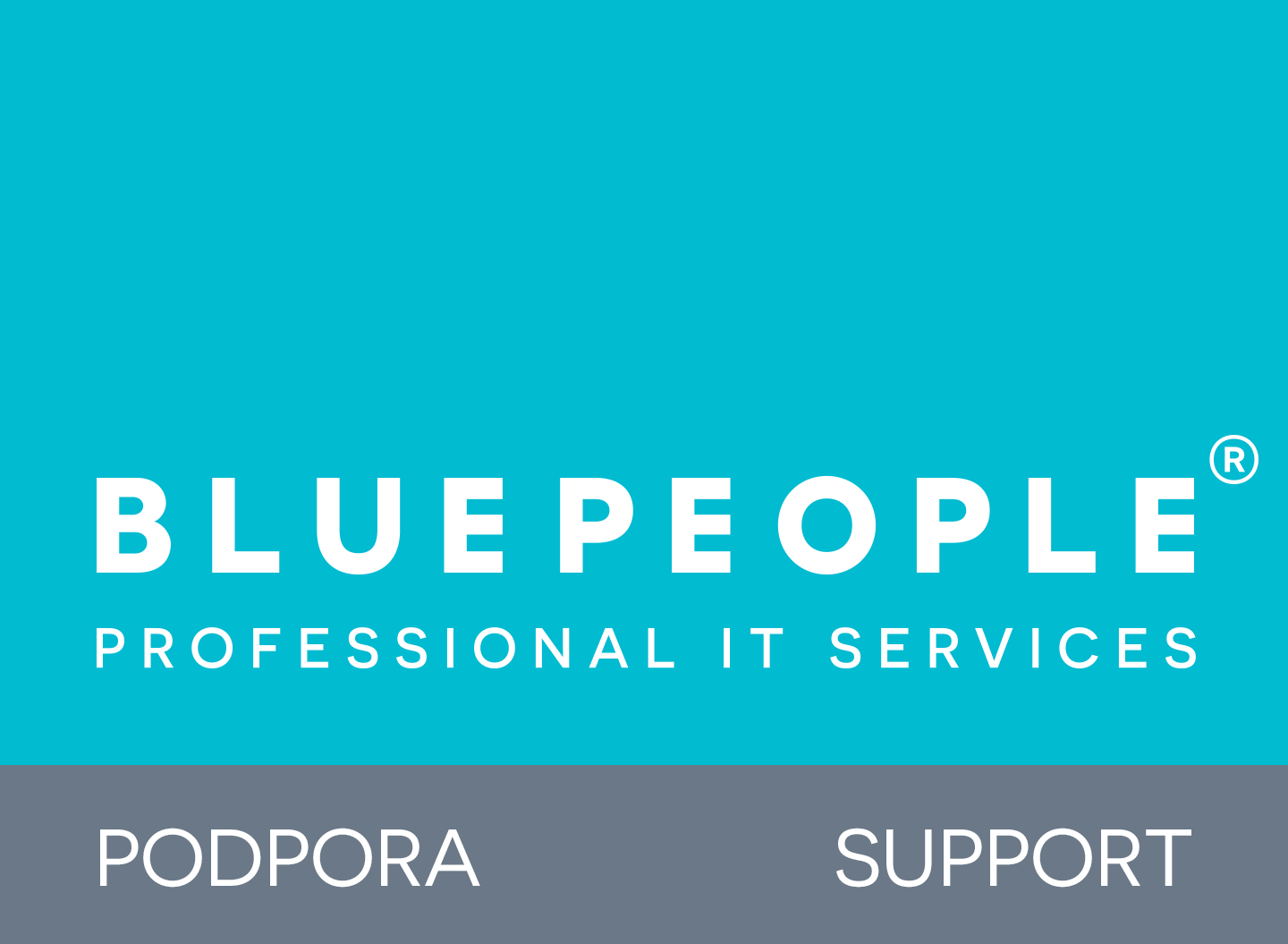 BLUEPEOPLE logo